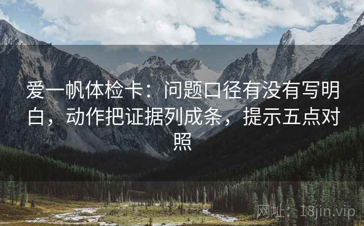 爱一帆体检卡：问题口径有没有写明白，动作把证据列成条，提示五点对照