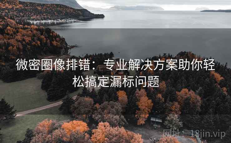 微密圈像排错：专业解决方案助你轻松搞定漏标问题