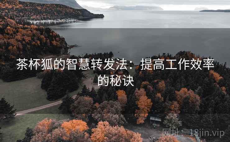 茶杯狐的智慧转发法：提高工作效率的秘诀